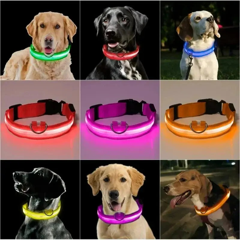LED Glow Dog Collar - Adjustable & Waterproof