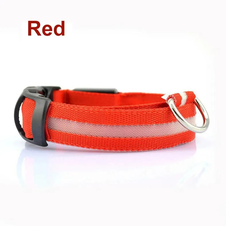 LED Glow Dog Collar - Adjustable & Waterproof