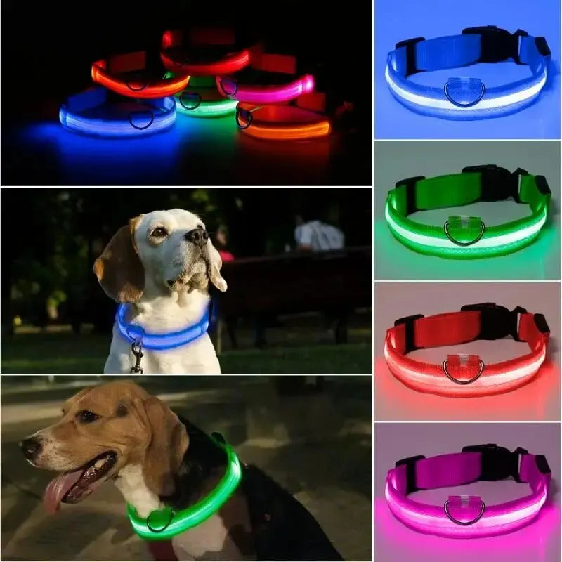 LED Glow Dog Collar - Adjustable & Waterproof